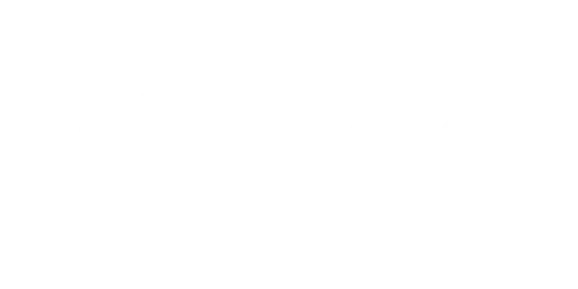 The famous project CIC