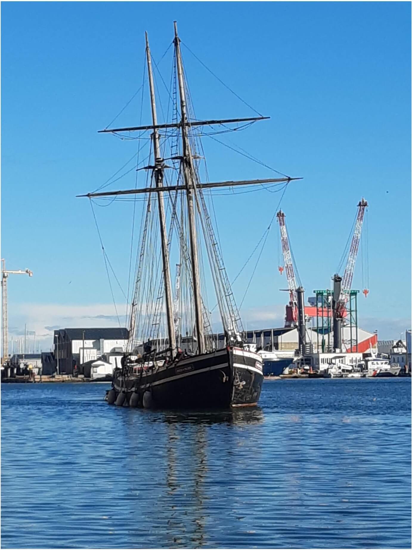 Détail de la proue sculptée du bateau Étoile de France.